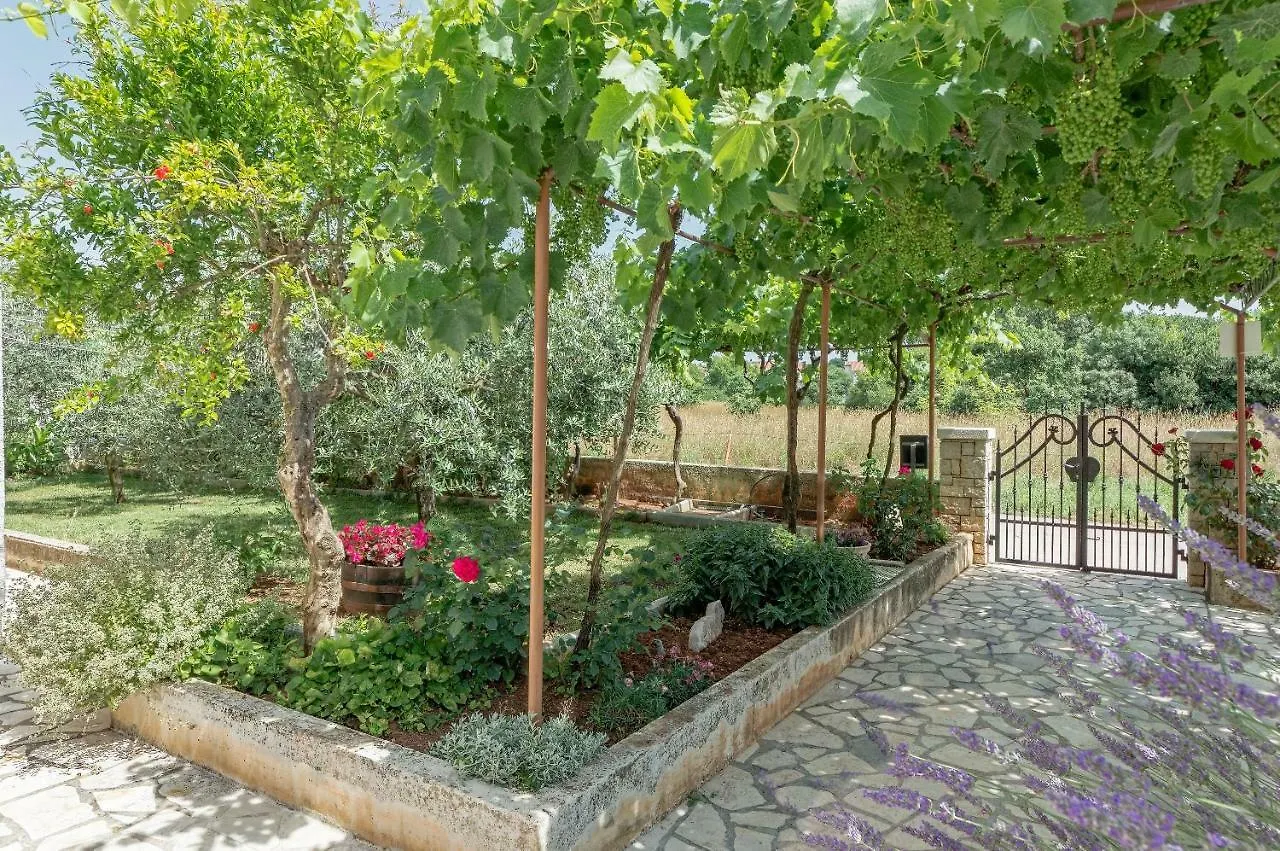 Apartman Inga Apartment Pula Croatia